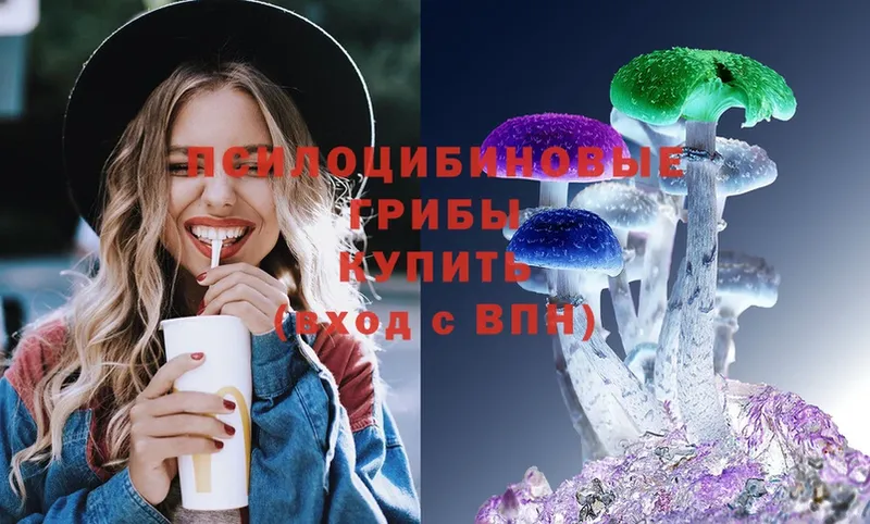 shop клад  Кизел  Галлюциногенные грибы прущие грибы 